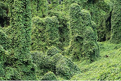 《哥谭骑士》将不包含微交易 也没有强制联网要求